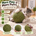 PounceBall