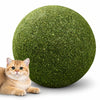 PounceBall