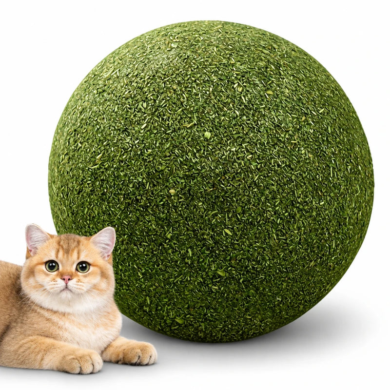 PounceBall