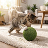 PounceBall