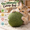 PounceBall