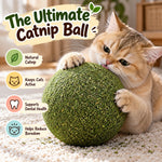 PounceBall